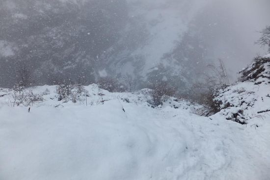 ... und am Ende hat es die Wege ganz zugeschneit.
Wegen Lawinengefahr wurde der eigentliche Trek auf die andere Talseite verlegt, und mehrmals hörten wir donnernde Lawinenabgänge.