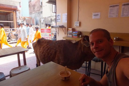 Timo hatte auch viel Freizeit alleine, war aber oft in guter Gesellschaft
... Muhhh