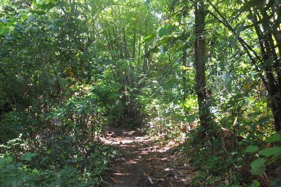 Strassen und Abgase gibts hier nicht!