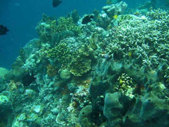 ... und dann runter! Schauen was es zu entdecken gibt!