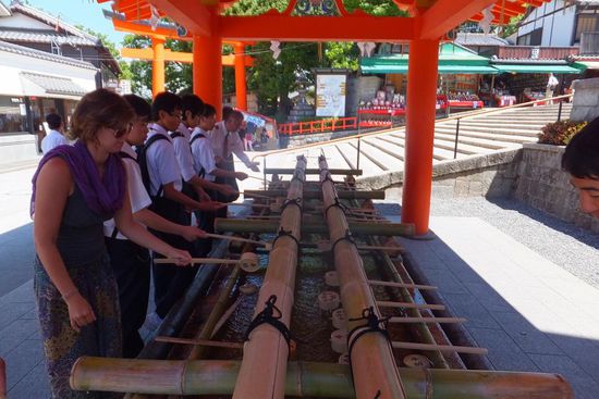 wieder wissen wir nicht was wir machen... aber wir machens weil es alle machen!