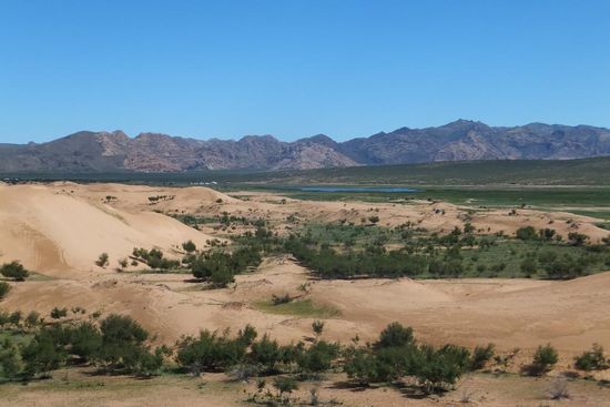 wir lieben die Wüste!