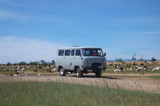 mit unserem Auto fahren wir immer wieder an riesigen Tierherden vorbei! 
Die meisten Tiere schlafen nachts im Stall bei den Gers, und tags können sie das Gras geniessen, und zwar soweit sie wollen 