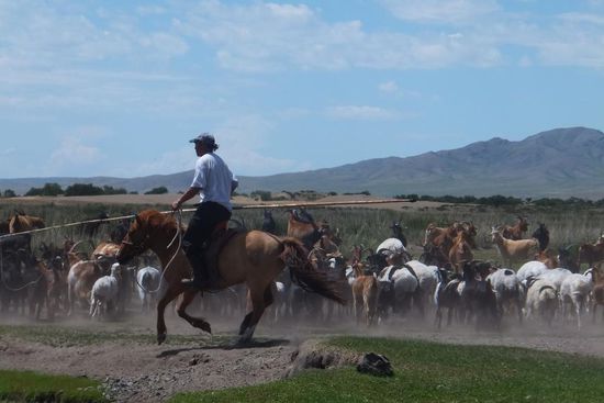 hier sind Männer noch echte Cowboys 
Mehr im 2. Teil !!