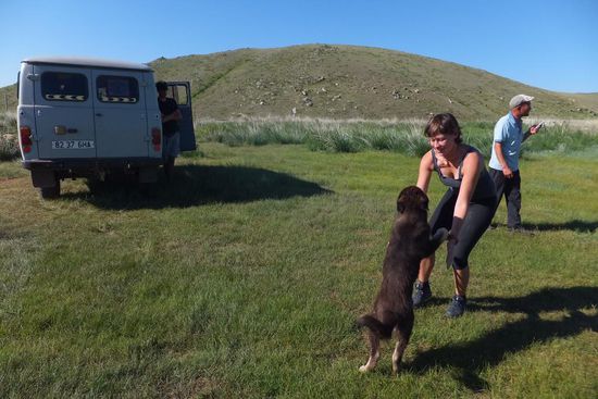 feeeeiiiiiiner Hund ! ! !