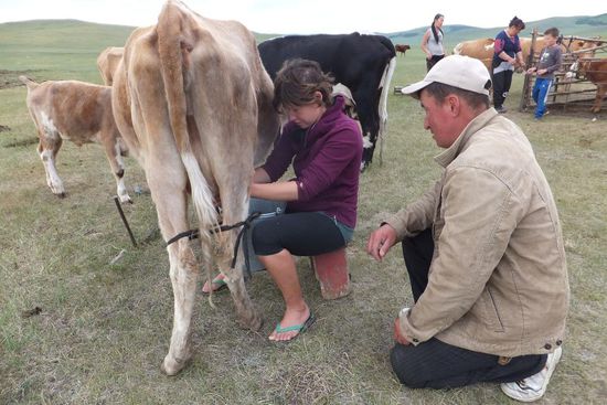 Projekt 1: Kuh melken  - gelungen!