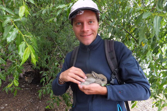 Mitten im Stadtfluss gibt es eine kleine Insel, wo sich Kaninchen vermehrt haben und die ganze Insel in Beschlag genommen haben...