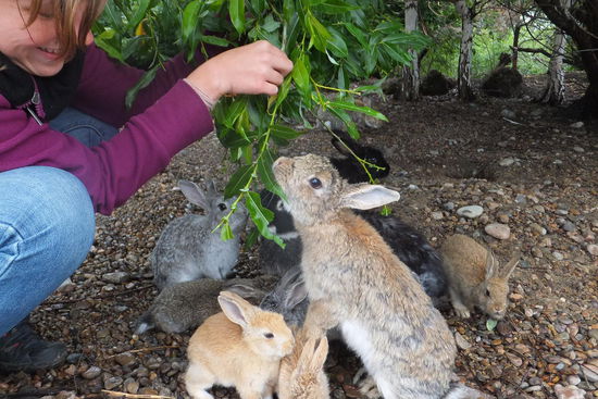.. ein highlight für Julia! 