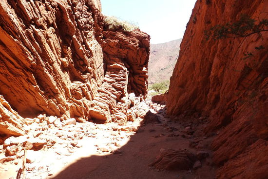 zwischen Salta und Cafayate im Norden gibt es ein spektakuläres Gebirgsmassiv...