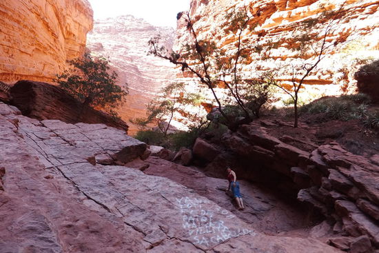 wir waren wieder voll im Element - in jeden Canyon reinkraxeln 