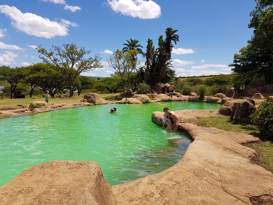 und einer kleinen Oase