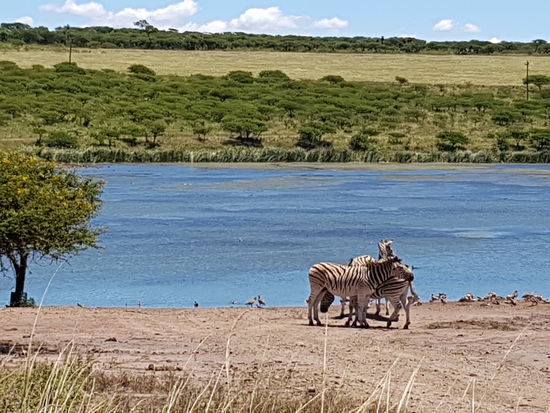 Ebenfalls ein Einheimischentipp.. das Reservat in der Nähe mit vielen tollen Tierchen.