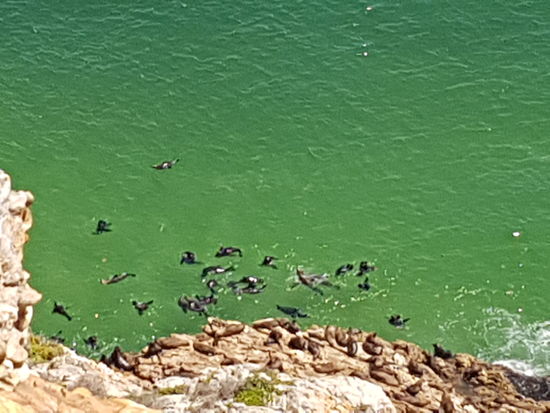 .. der Name versteht sich von selbst!