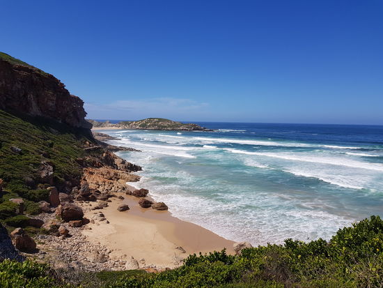 auf der Rob-Berg Halbinsel in Plettenberg Bay