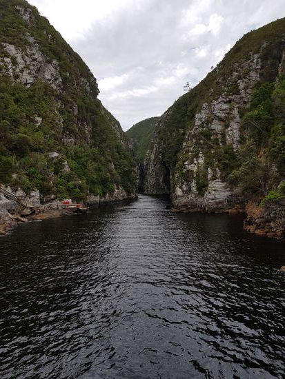 der Küstennationalpark "Tsitsikamma" war sehr beeindruckend mit seinen Schluchten und schwarzen Flüssen..
