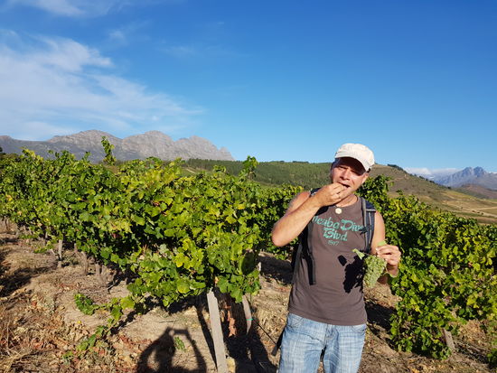 eine Nacht haben wir auf einem Weingut verbracht..