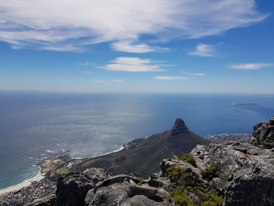 Blick vom Tafelberg auf den Lions Head 