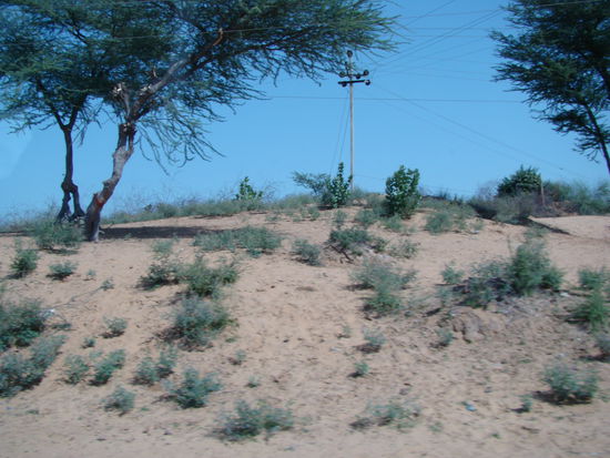 Hier kann man gut sehen, wie viel Boden die Erosion schon abgetragen hat. (Baumwurzel)
