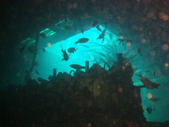 Camia 2 Wrack (Dieselmotor)