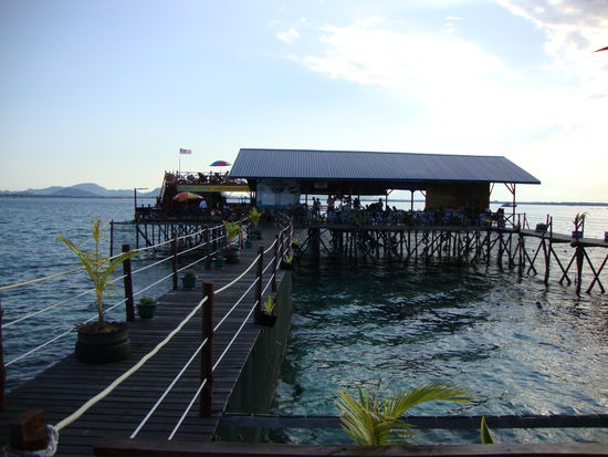 Singamata Aquarium pool