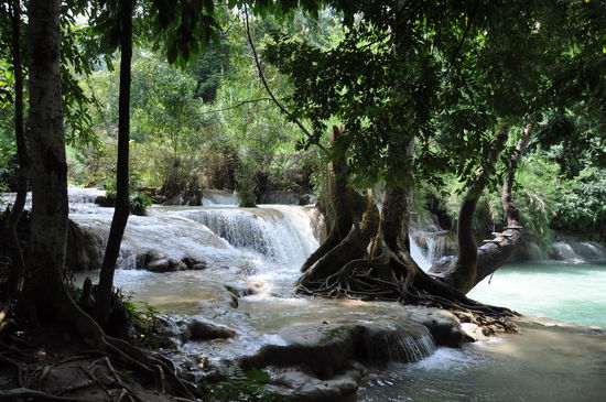 Tad Kuang Xi 32 km von  Luang Prabang entfernt