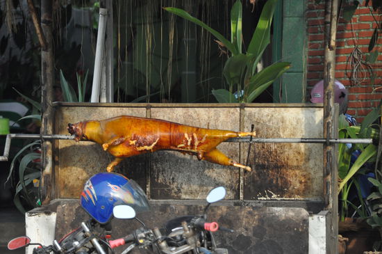 So kann schwein richtig lecker aussehen 