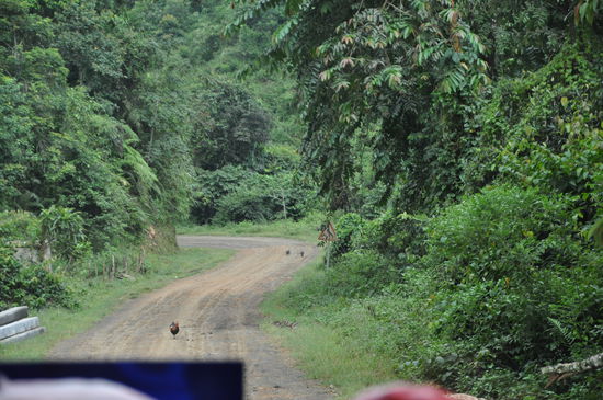Und die Straßen bleiben schlecht.