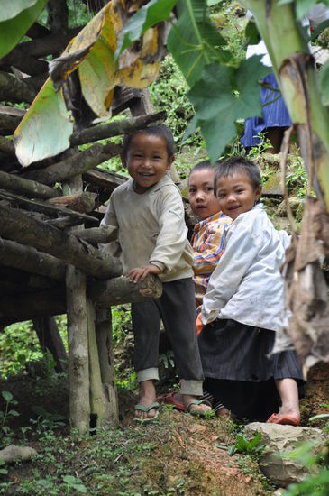 Scheu und neuguerig zugleich nähern sich die Kinder der Langnase