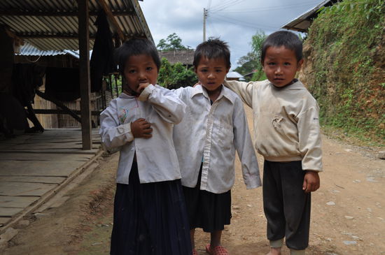 Mein Freund Thai durfte nur das Bild machen, vor mir hatten sie riesige Angst