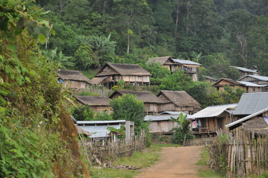 raus aus dem Dschungel