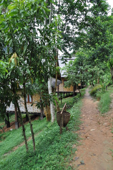 Auf dem Weg zu unserem Bungalow