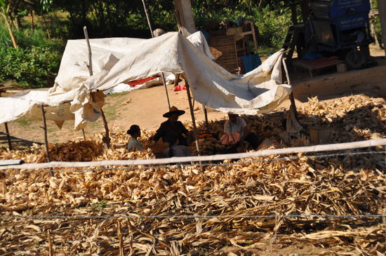 Der Weg ist bekanntlich das Ziel. Die heißen Quellen waren enttäuschend, deshalb hier keine Bilder von der Stelle. Aber die Fahrt dorthin war sehr interessant.