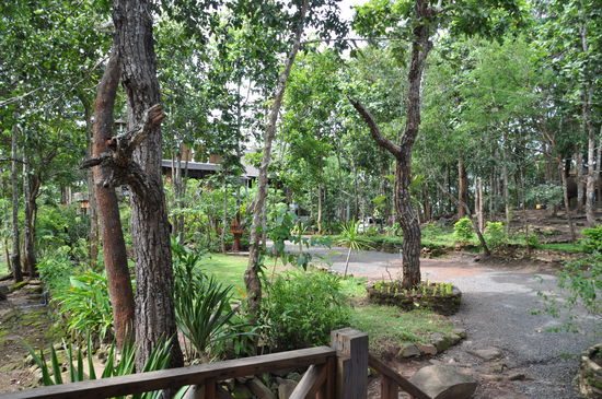 Suchbild: Wo hat sich der Elefant versteckt?