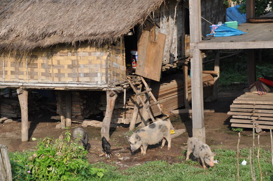 Besuch in einem Dorf