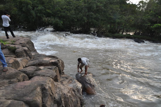 Tauchen ist angesagt!