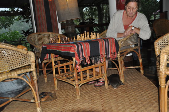 Meine Füsse waren Tuckdicks Lieblingsplatz. Der kleine Otter wollte unbedingt mein Freund sein.