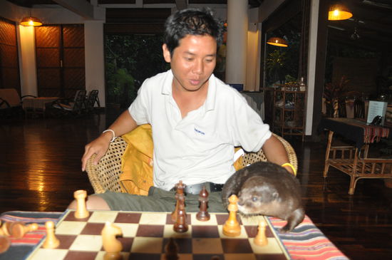 So hielt ihn nicht einmal ein spannendes Schachmatch auf.