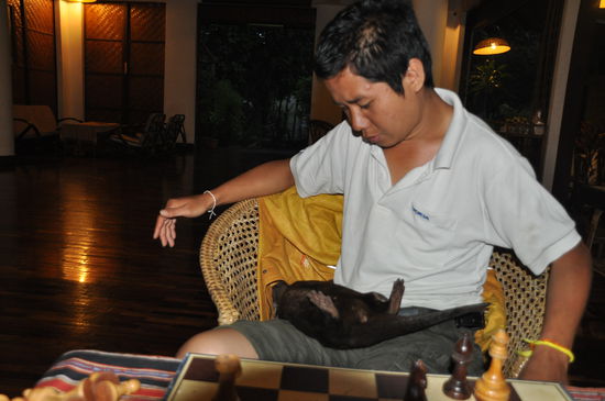 Rolle rückwärts und er steht mal wieder im Mittelpunkt.