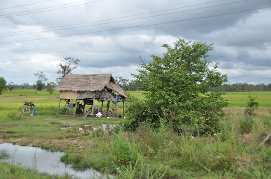 Diese Hütte wurde etwas windschief beim Taifun.