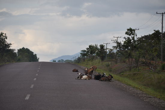 Warmer Boden zum relaxen.