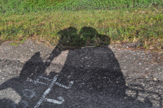 Schon wieder ein Elefantenschatten? Nein, Thai und Peggy auf dem Motorrad.