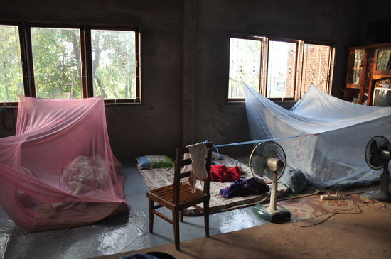 SO sah es am Morgen danach im Wohnzimmer aus. Einige schlummern noch tief und fest.