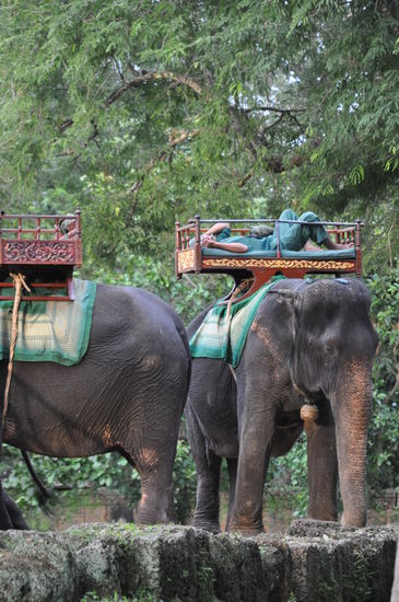 Manche Leute liessen sich auf den Berg bringen