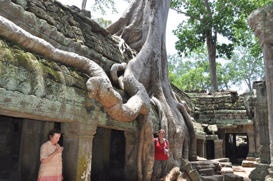 Im Vergleich zu den Menschen in  Kombodia bin ich ein Riese, aber hier darf ich mich mal fuehlen wie ein kleiner Mensch.