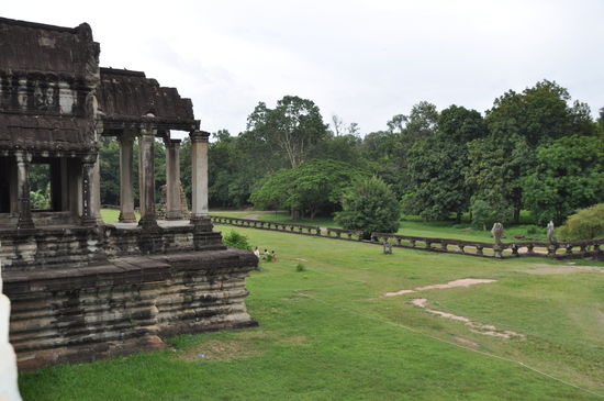 Umgeben von einem Rest Dschungel