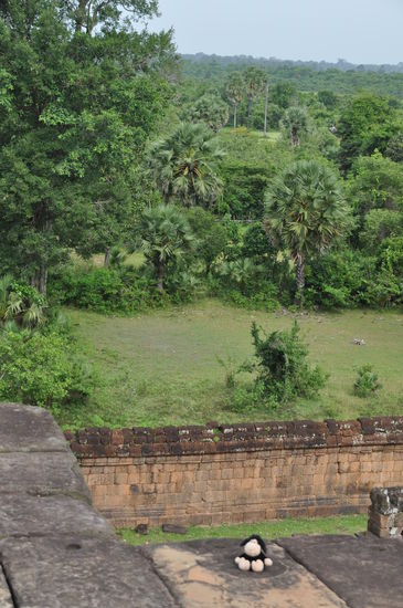 Lurch und Joana: Maehh, natuerlich immer dabei 