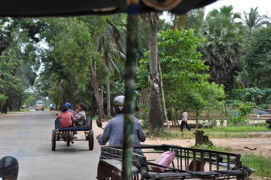 Diese Gefährten sind viel angenehmer als alle LKW's der Welt. Auf dem Weg zum nächsten Tempel.