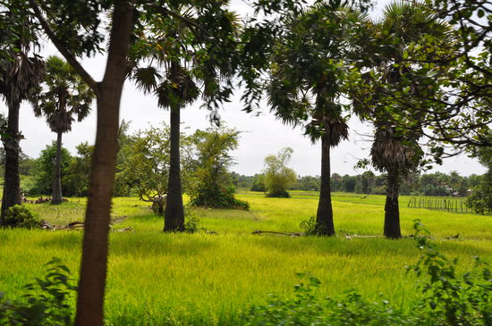 Na, da bekommt man doch Lust auf Reis(en) 