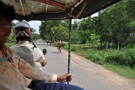 Mit den Mädchen und dem schweren Gehölz auf dem Fahrrad möchte ich nicht tauschen wollen.