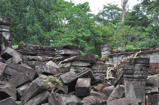 Na Bruderherz, das wäre doch etwas für dich, da könntest du dich voll austoben und bauen und konstruieren. Vielleicht brauchen sie ja noch jemanden 
